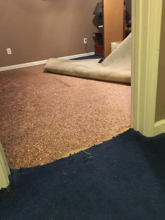 Carpet pad removal revealing water damage during Drying & Dehumidification in Sebastopol