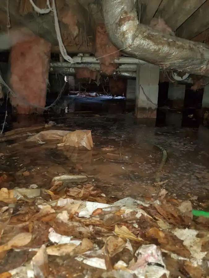 Crawl space flood assessment for Commercial Water Damage Restoration in Sebastopol