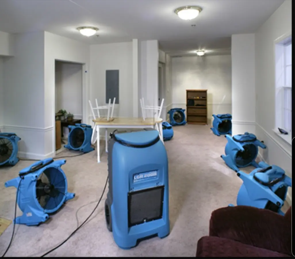 Air movers and dehumidifier setup for Water Extraction & Removal in Sebastopol