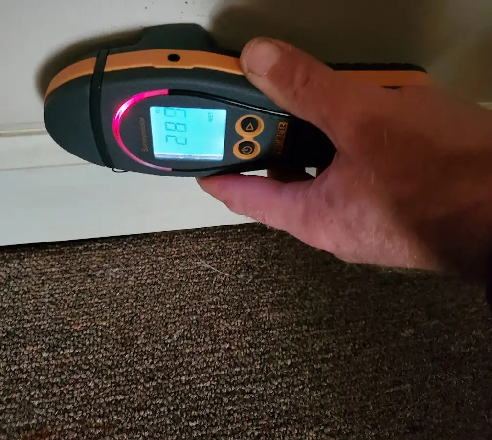 Moisture detection at baseboard during Sewage Cleanup & Sanitation in Sebastopol